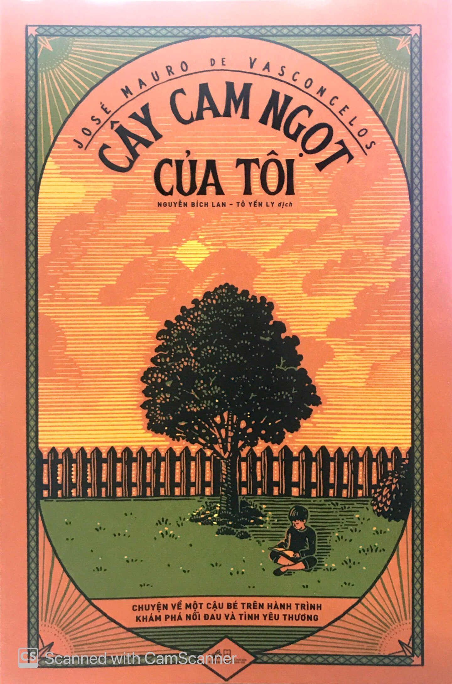 Nội dung Cây cam ngọt của tôi