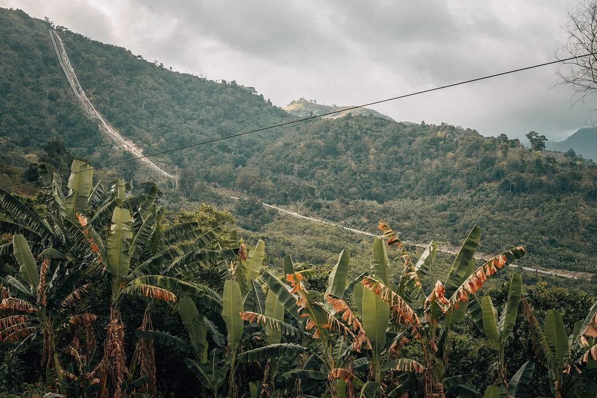 Độ dốc lớn và khí hậu thay đổi rõ rệt trên đèo Ngoạn Mục