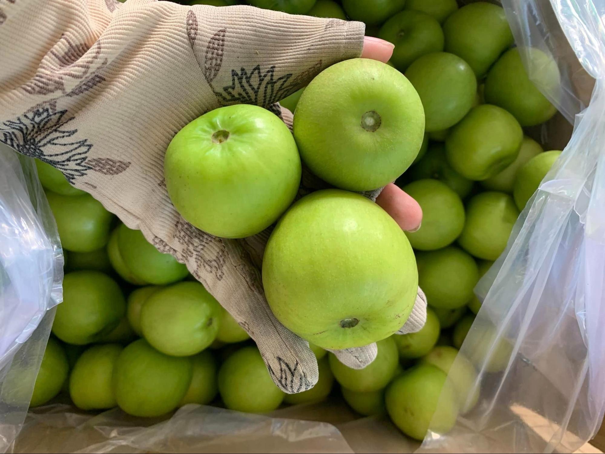 Cách chọn táo xanh Phan Rang ngon