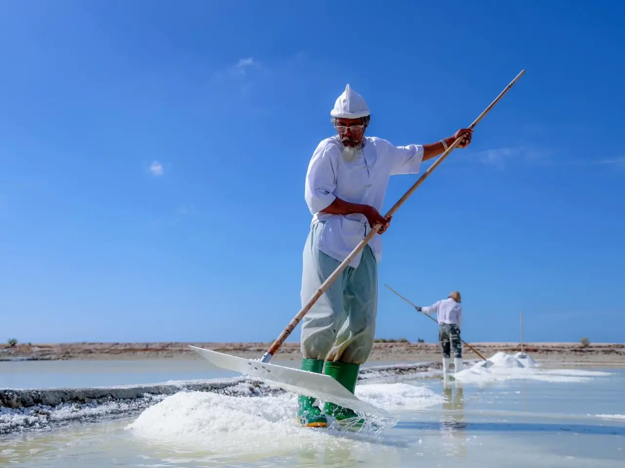 Cánh đồng muối Cà Ná