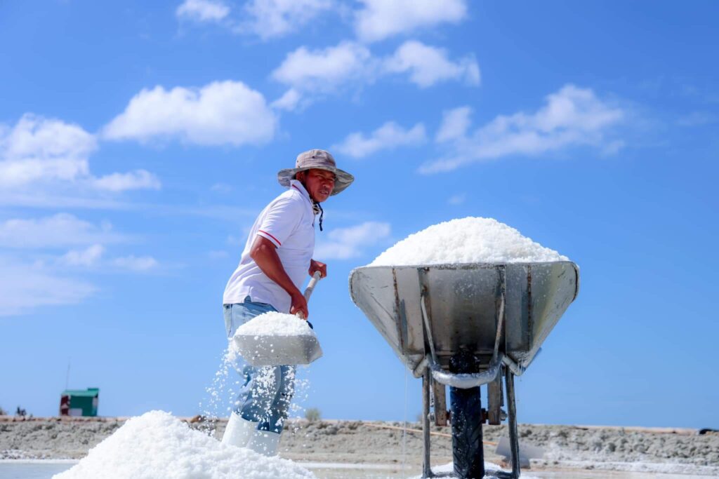 Cánh đồng muối Cà Ná Ninh Thuận