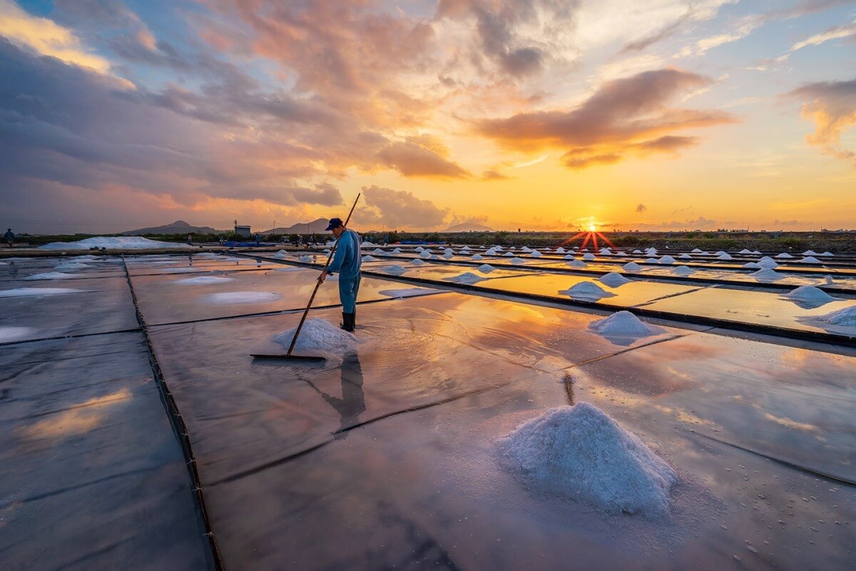 Cánh đồng muối Phương Cựu Ninh Thuận