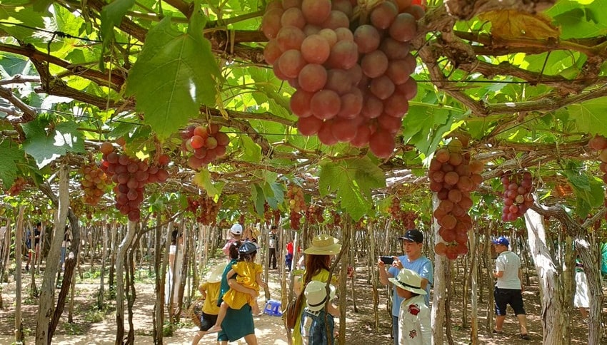 Đặc sản Ninh Thuận tại chợ Phan Rang