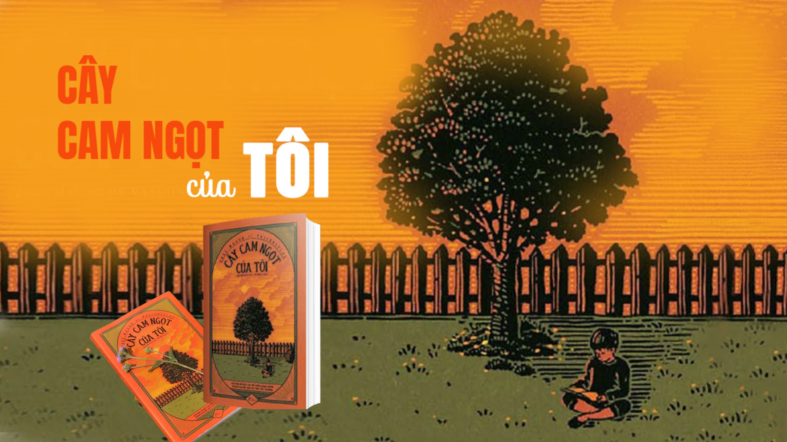 Đọc sách Cây cam ngọt của tôi