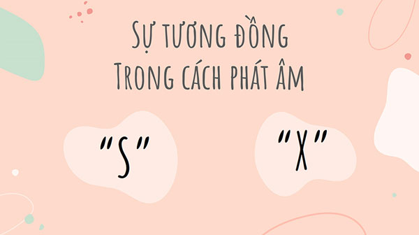 Phân biệt sai sót hay sai xót